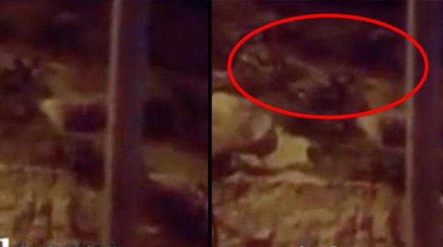 Siirt'te Mezarlıktan Gelen Esrarengiz Sesler, Duyanların Tüylerini Ürpertti