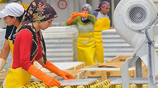 Türkiye’de En Az Kadın Esnaf Siirt’te