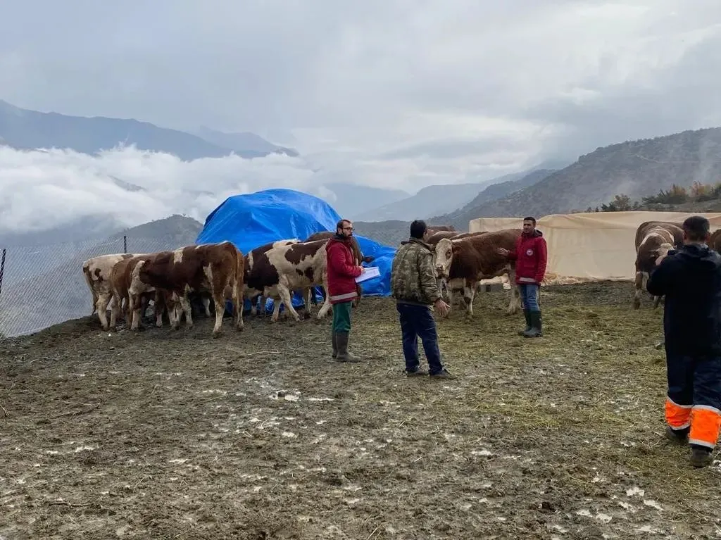 Siirt’te Düve Alım Desteği’nden Yararlanan İşletmelerde Tespit Çalışması Yapıldı