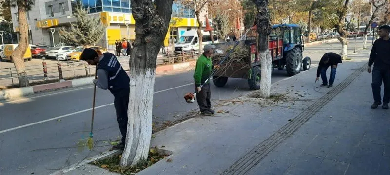 Siirt’te Ağaç Budama Çalışmaları Başladı