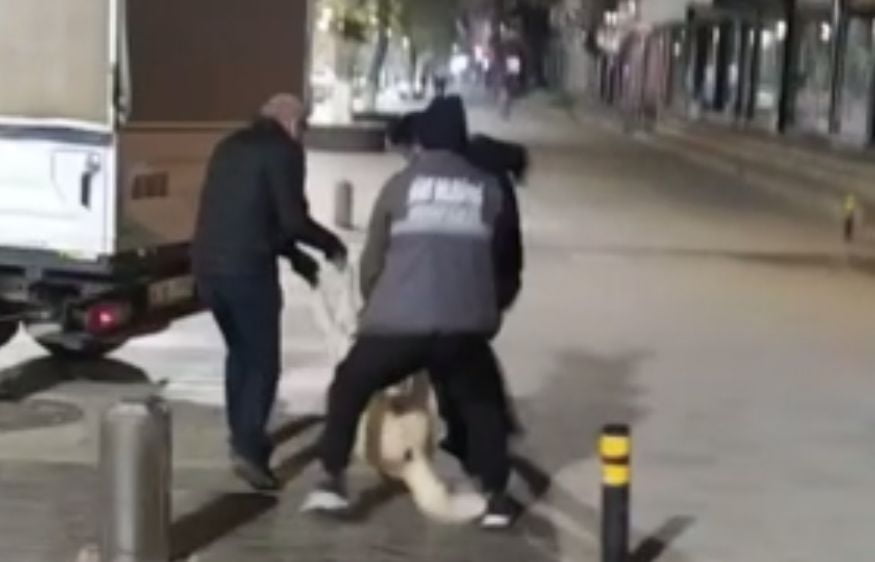 Belediye Personellerinin Köpeklere Yaptığı Muamele Tepkiye Neden Oldu