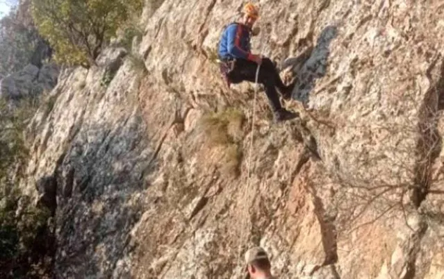 Siirt'te Kayalıklarda Mahsur Kalan Keçiler Kurtarıldı