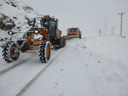 Siirt'te Kar Yağışı Nedeniyle 9 Köy Yolu Kapandı