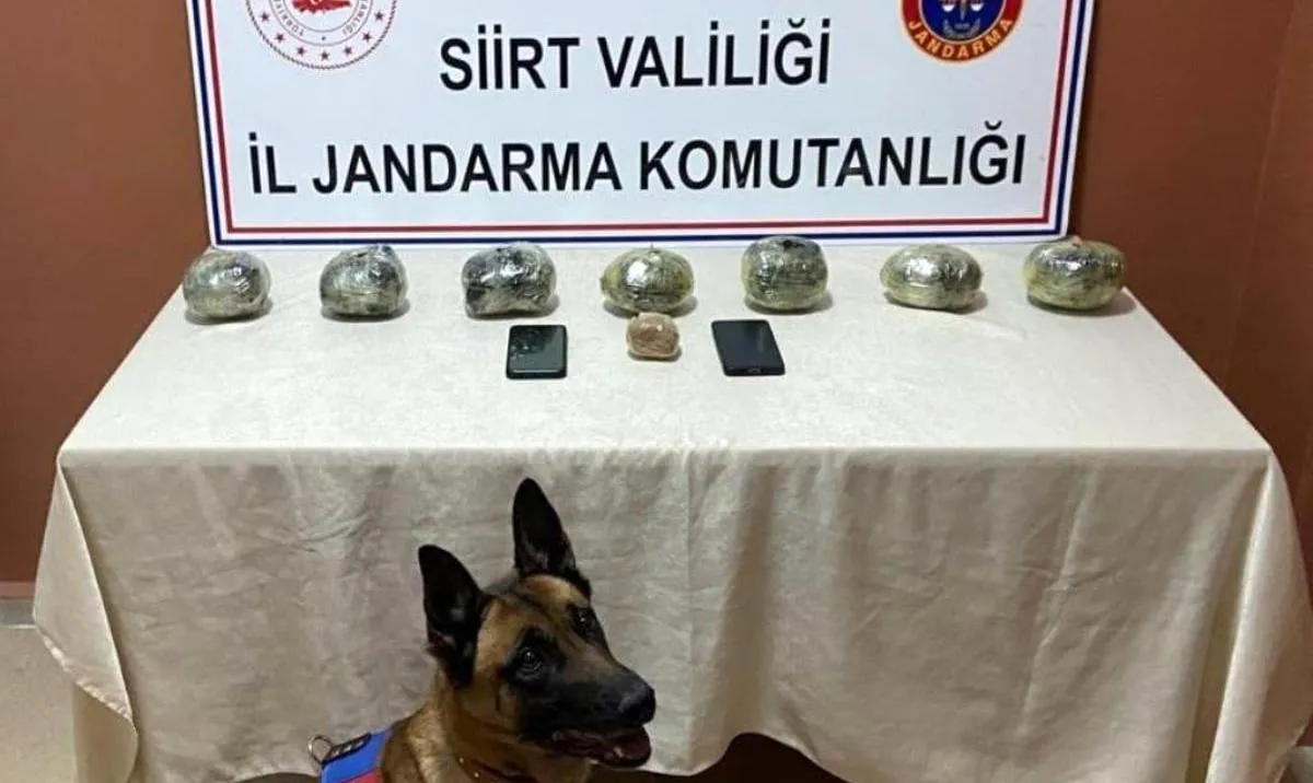 Siirt’te Jandarma Kaçan Uyuşturucu Tacirlerini Yakaladı