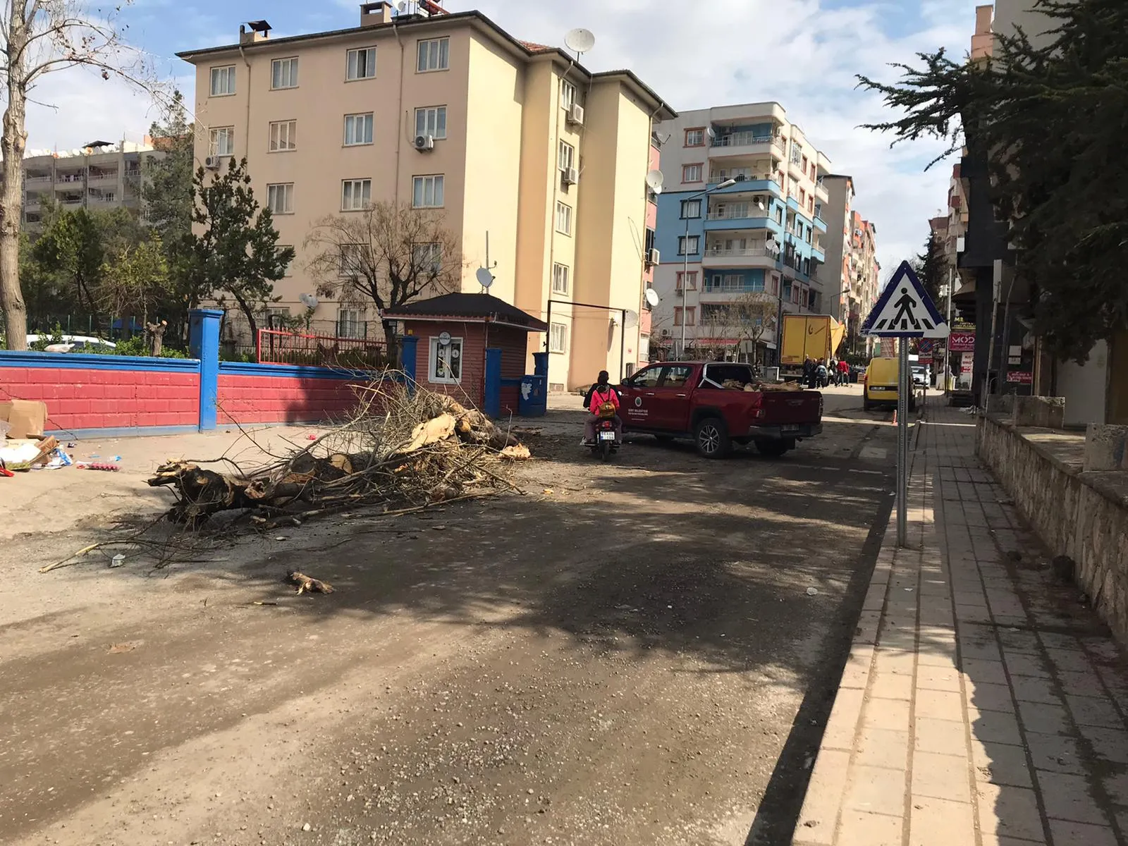 Yeşil Cadde Yapıyoruz Dediler Ağaçları Kestiler