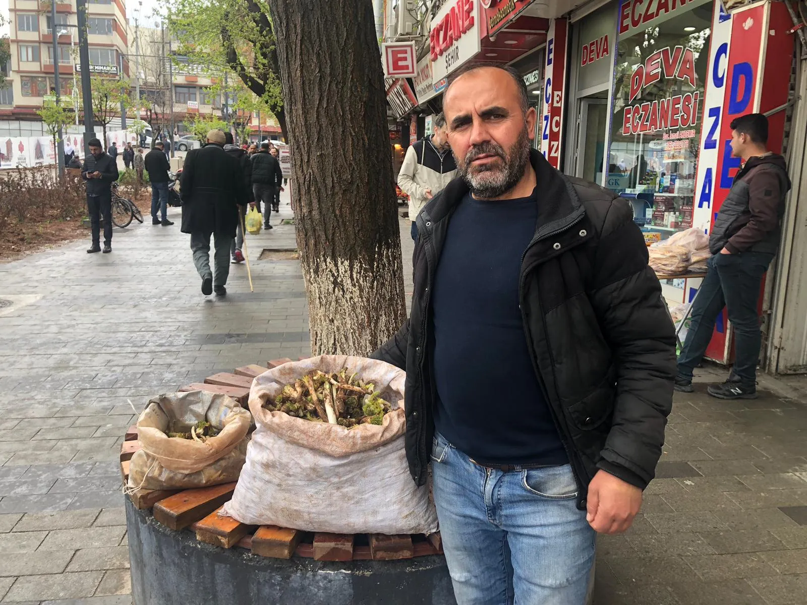 Kenger Otu Tezgahlardaki Yerini Aldı, Kilosu 30 TL
