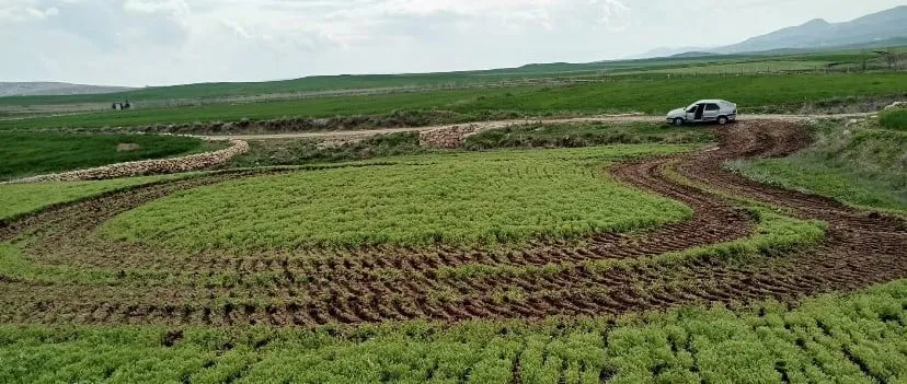Siirt'te Petrol Arama Şirketine Tepki