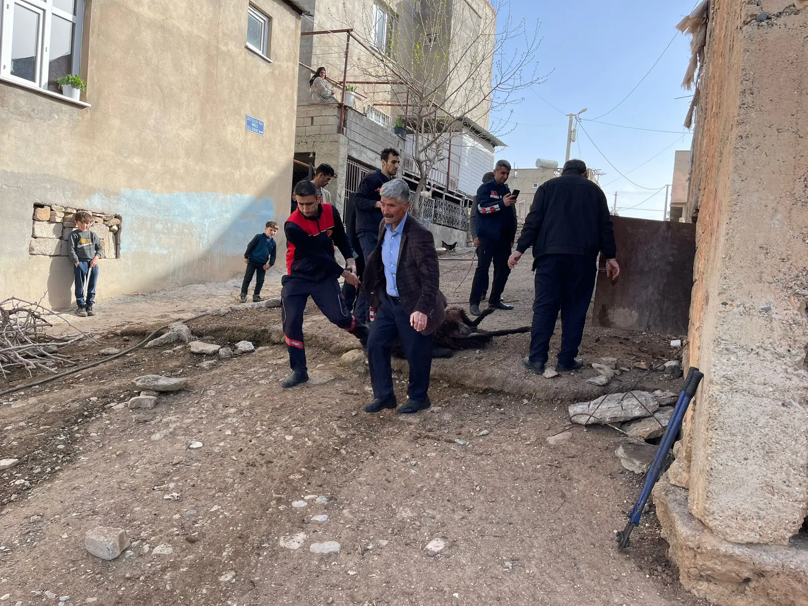 <br><strong>Siirt'te Çöken Ahırda 12 Koyun Öldü</strong>