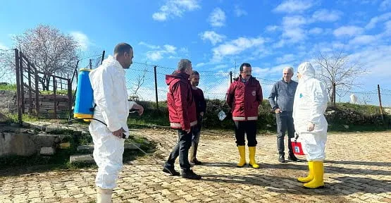 Siirt'te Şap Hastalığı Tedbirleri Sürüyor