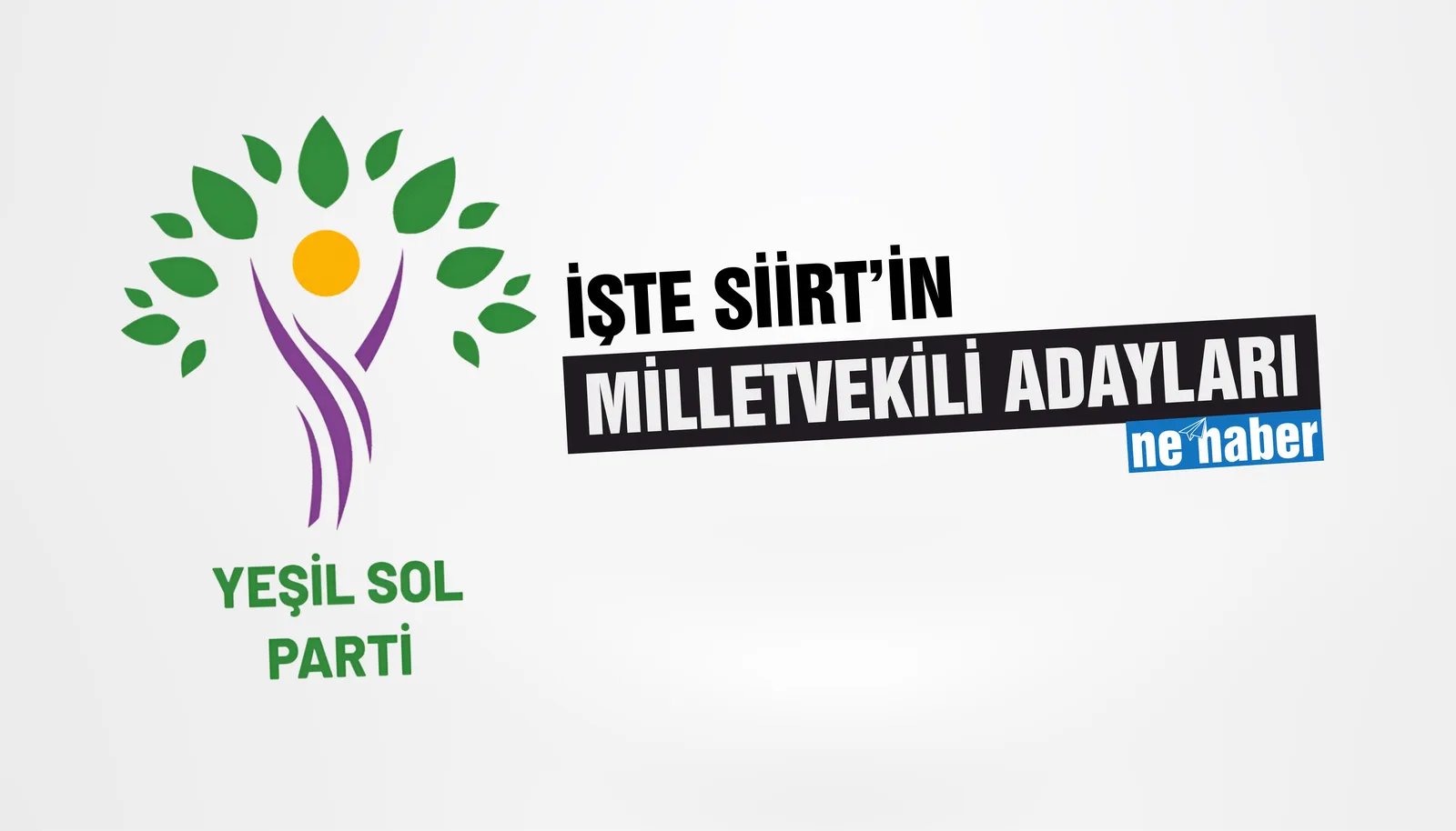 Siirt'te Yeşil Sol Partisi Adayları Belli Oldu