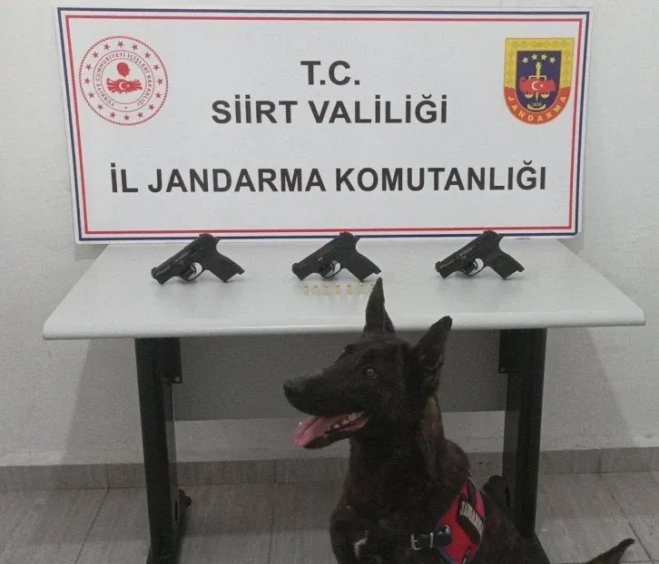 Siirt’te Kaçak Silah Operasyonu