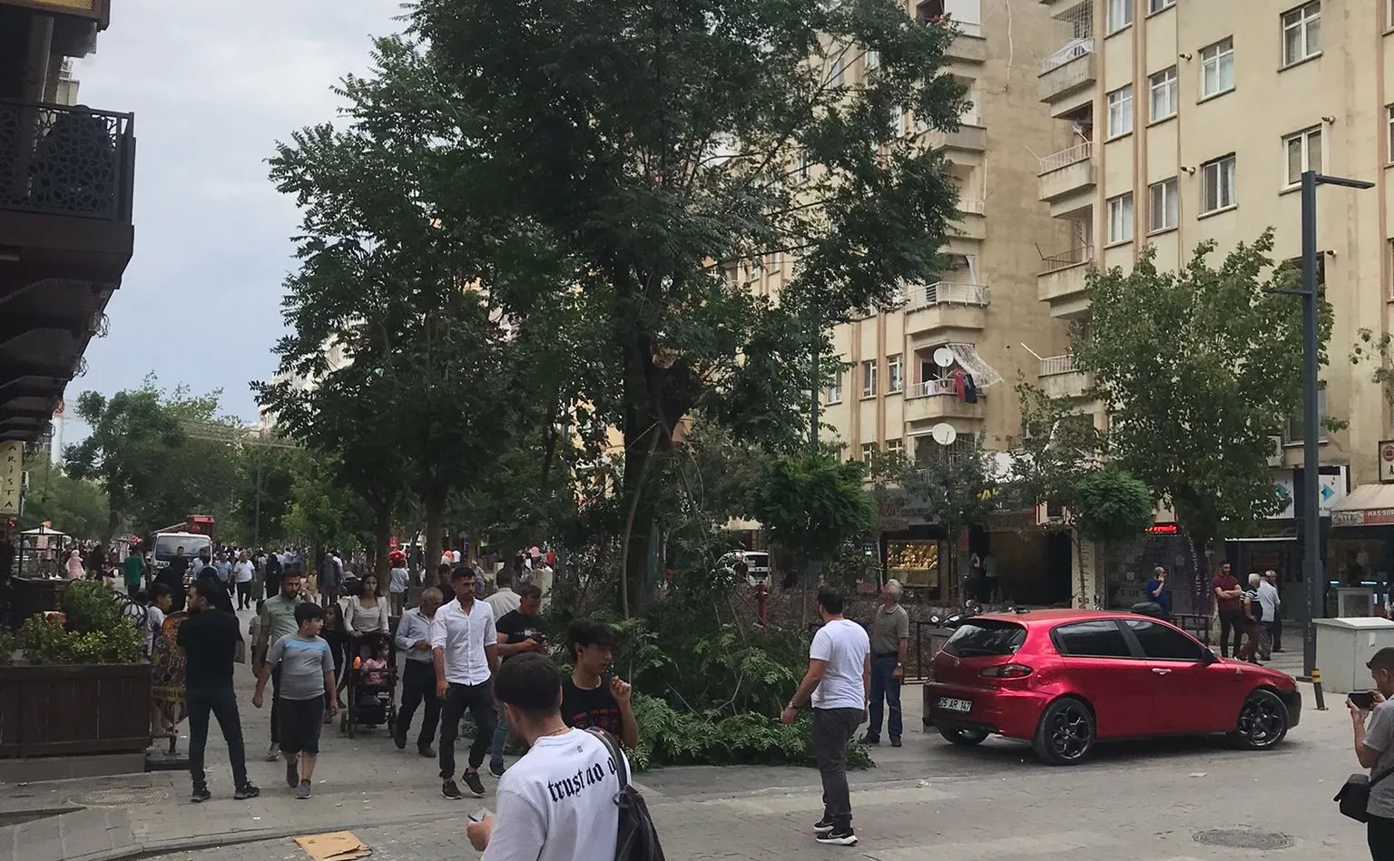 Siirt’te Şiddetli Rüzgar Ağaç Devirdi