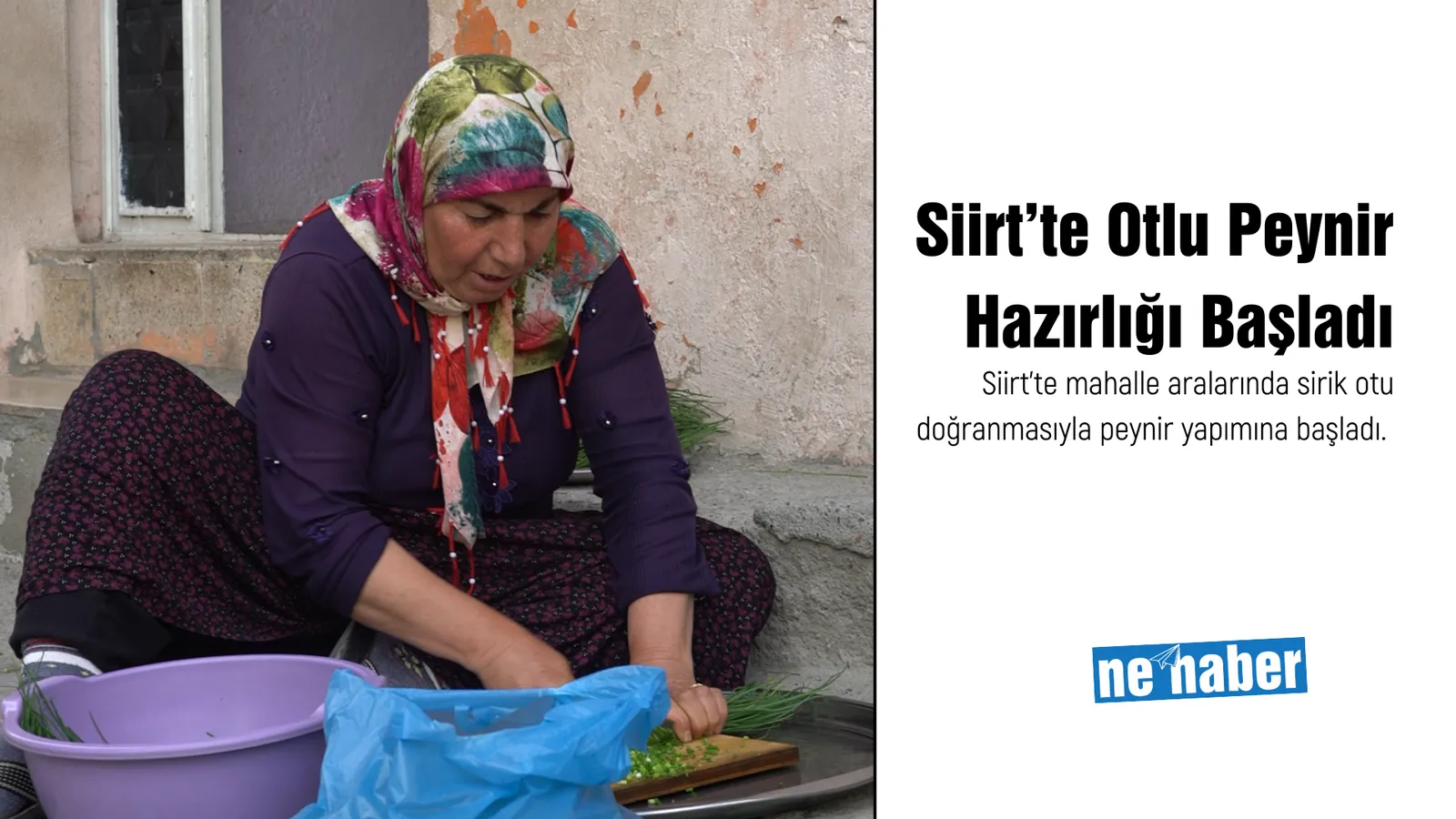 Siirt’te Otlu Peynir Hazırlığı Başladı