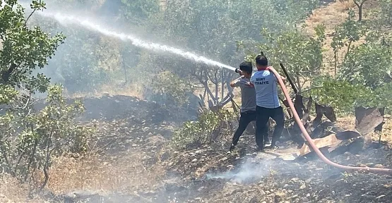 Siirt'te Fıstık Bahçesinde Yangın