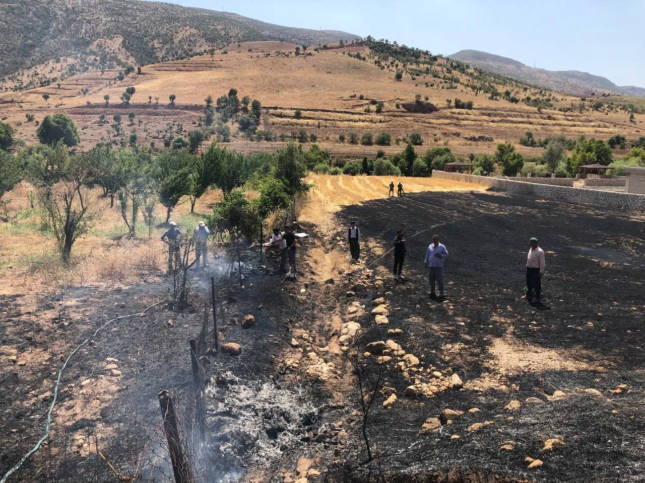 Anız Yangını Üzüm Bahçesine Sıçradı