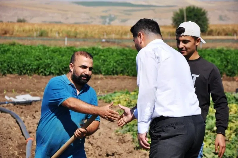 Atanamayan Öğretmenler Tarlada