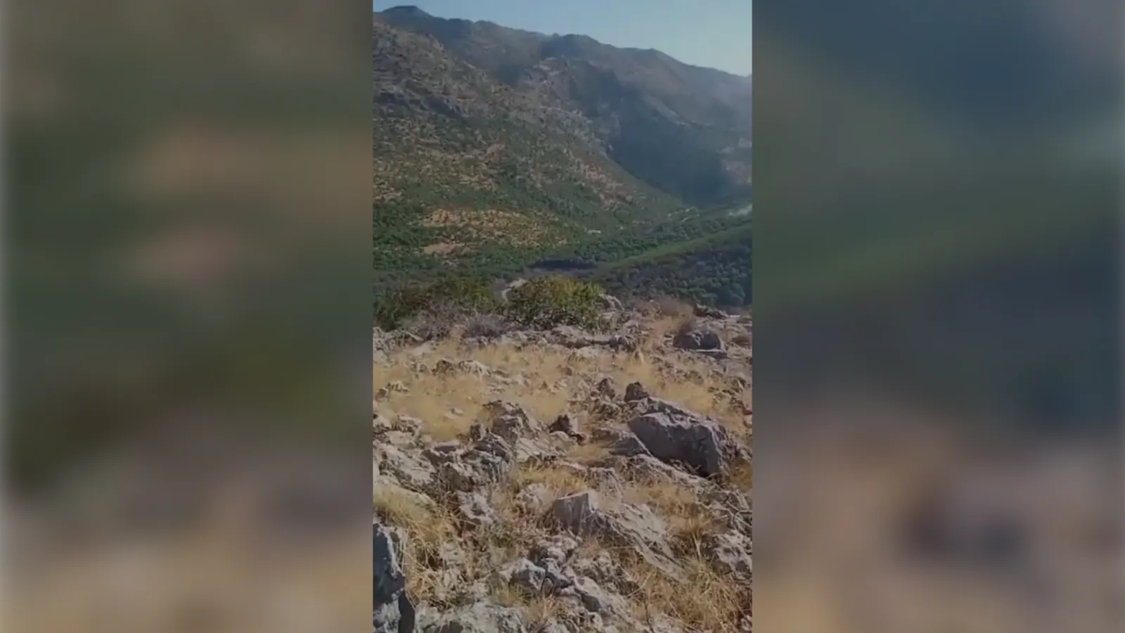 Baykan’daki Orman Yangını Kontrol Altına Alındı