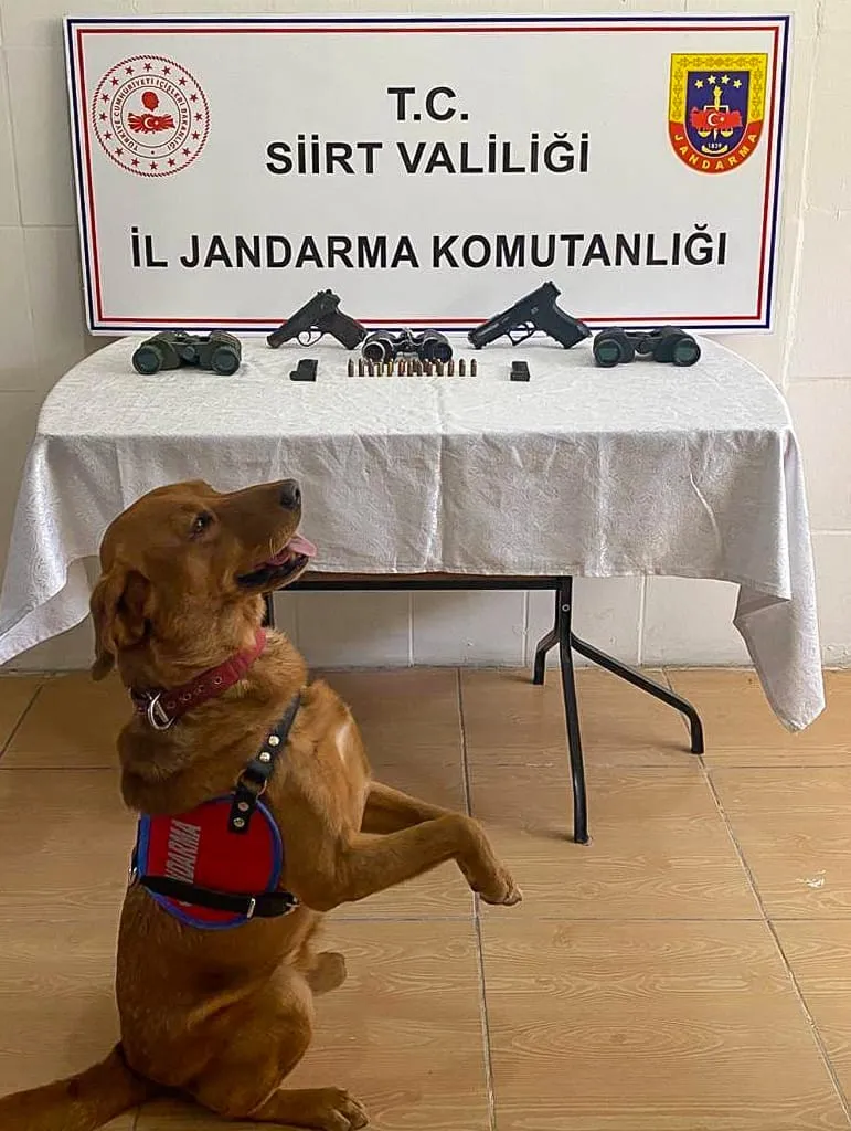 Silah Kaçakçıları Siirt’te Yakalandı