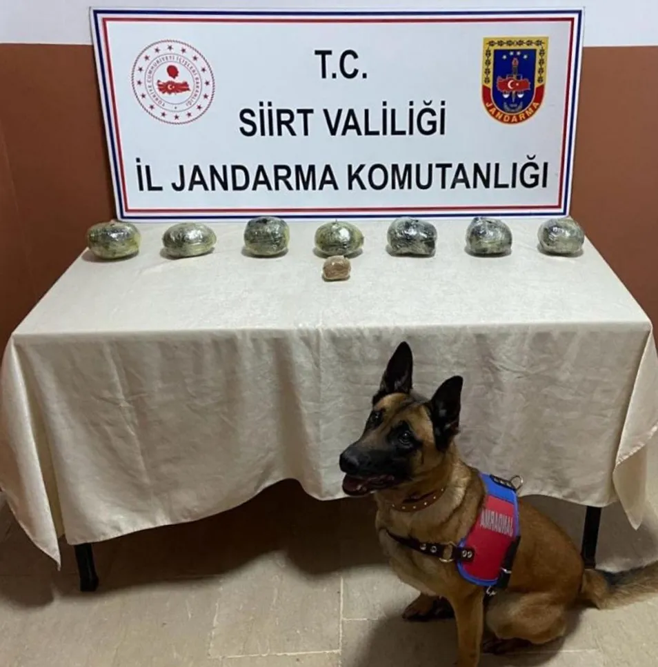 Siirt’te Peynir Bidonuna Saklanmış Toz Esrar Yakalandı