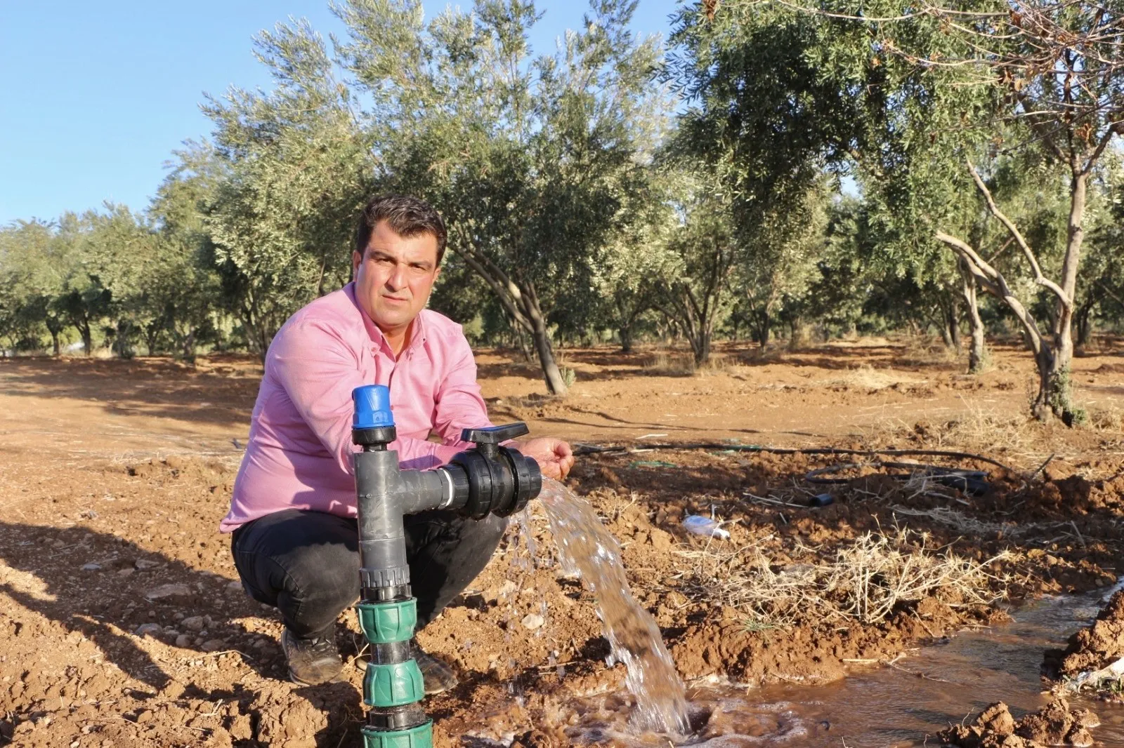 Toprak Altı Damlama Sistemini Kurdu
