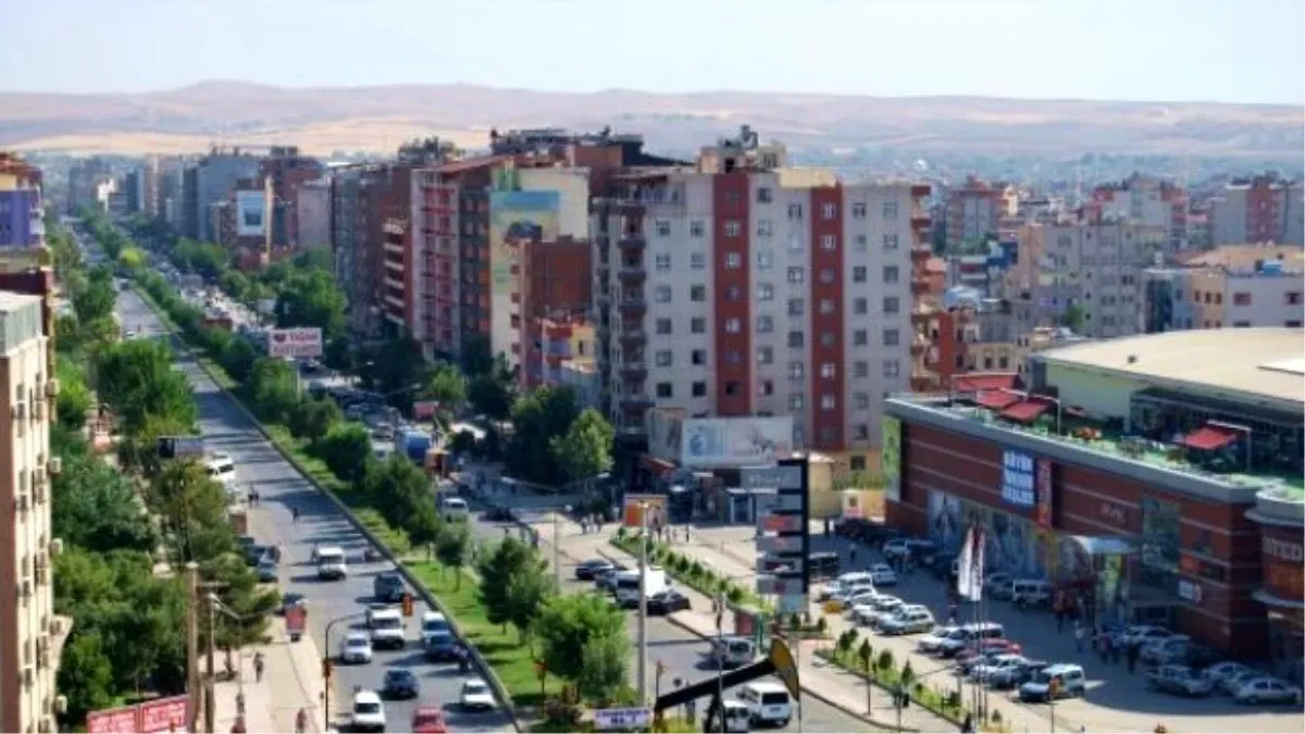 Atama Taleplerini, Fidan Dikerek Dile Getirdiler