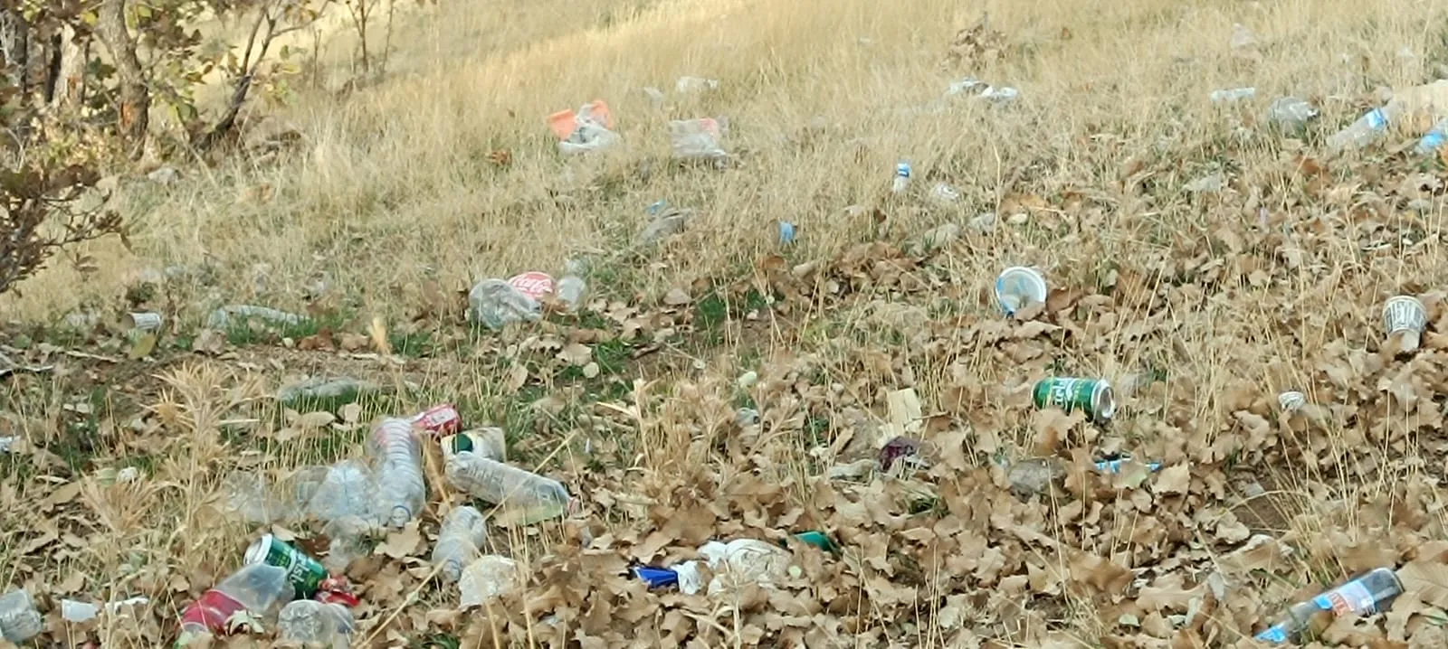 Şırnak-Siirt Çevre Yolu Pislikten Geçilmiyor