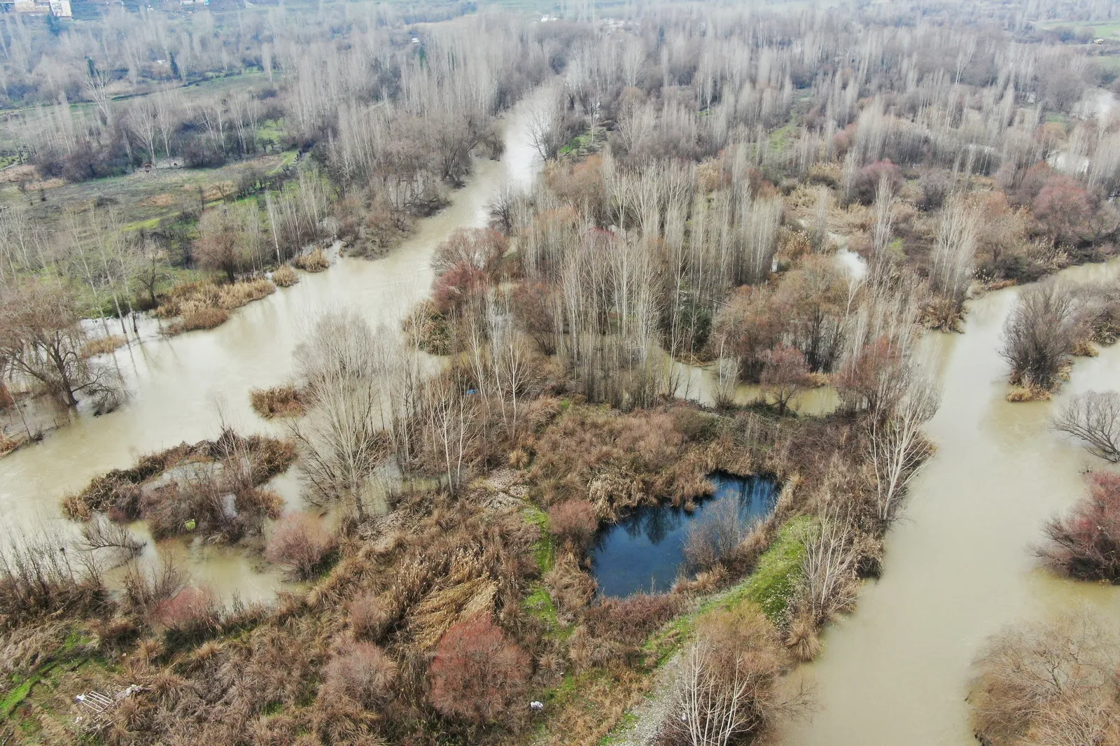 Dicle Nehri’nde Hayat Tehdit Altında