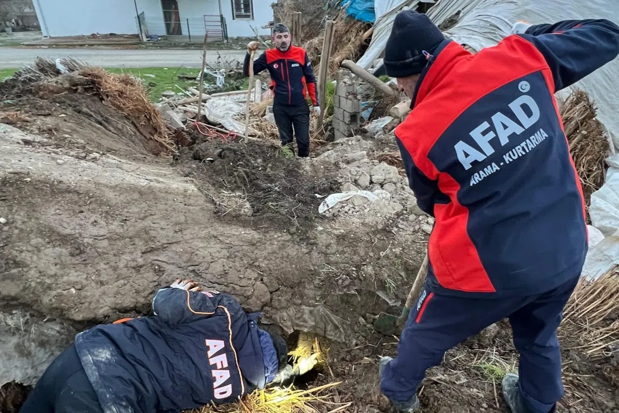 Batman’da Ahır Çöktü: 8 Yavru Köpekten, 5’i Kurtarıldı