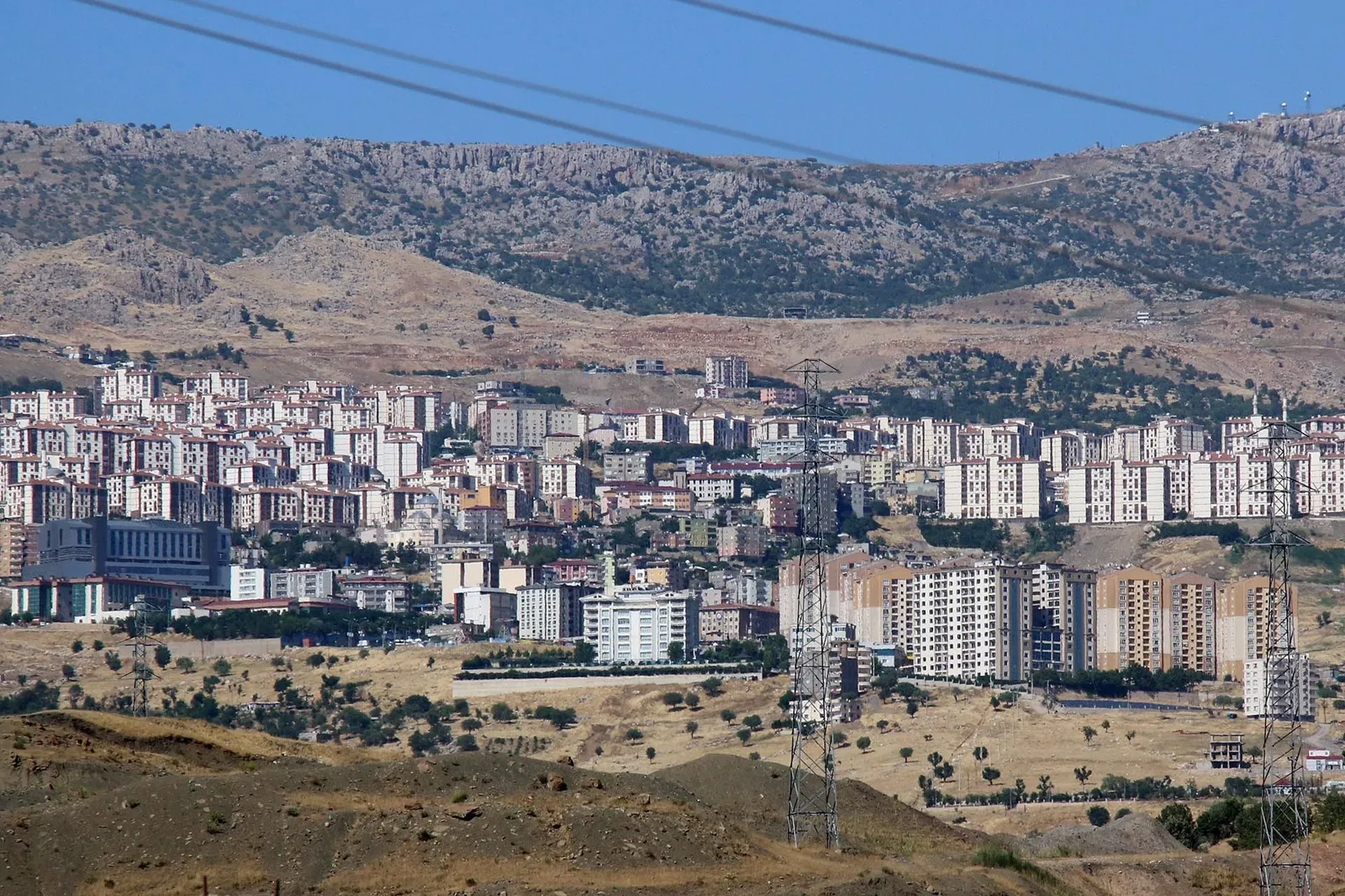 Şırnak’ta Gençlik Ve İşsizlik Sorunu