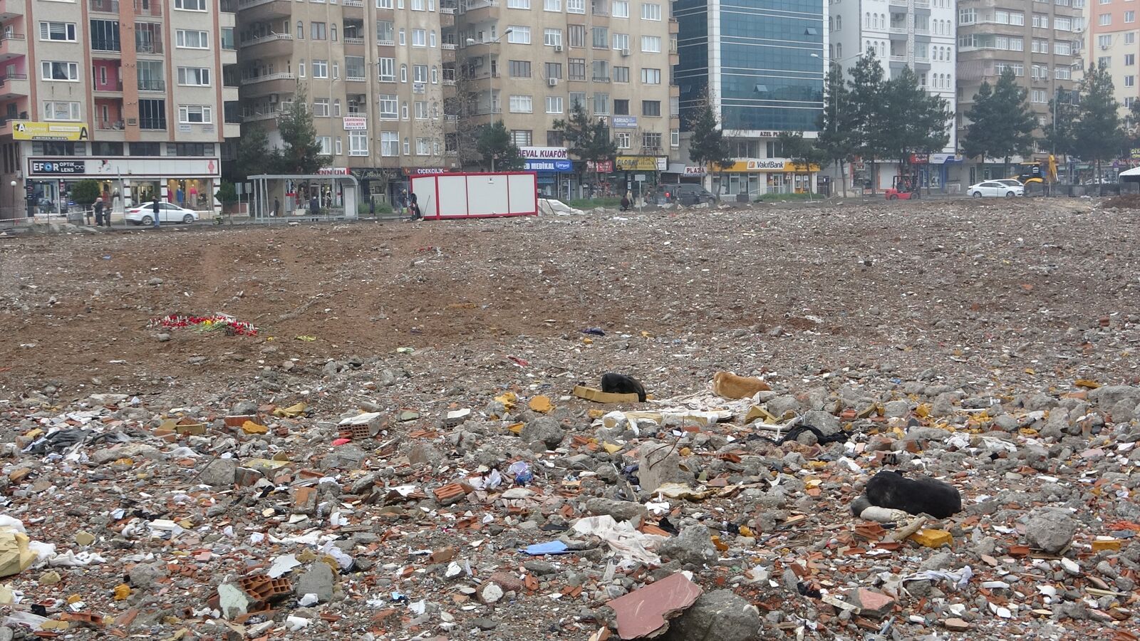 89 Kişiye Mezar Olan Site Sokak Köpeklerinin Mekanı Haline Geldi