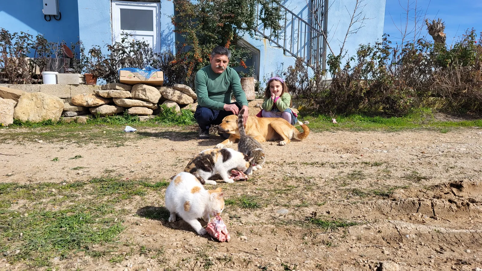 Köpek İle Kedilerin Yıllardır Süren Dostluğu