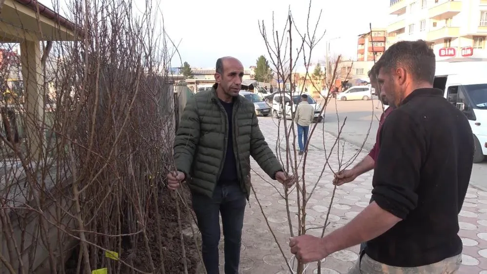 Siirt'te Yüzlerce Meyve Fidanı Toprakla Buluşmayı Bekliyor