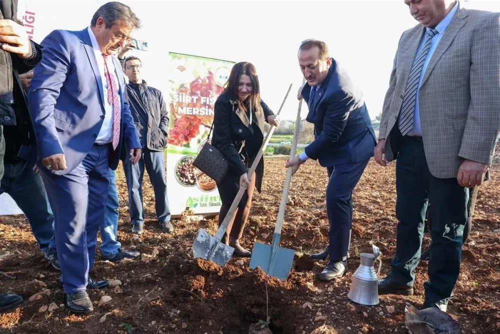 'Siirt Fıstığı Mersin’de Projesi Kapsamında Fidan Dağıtıldı