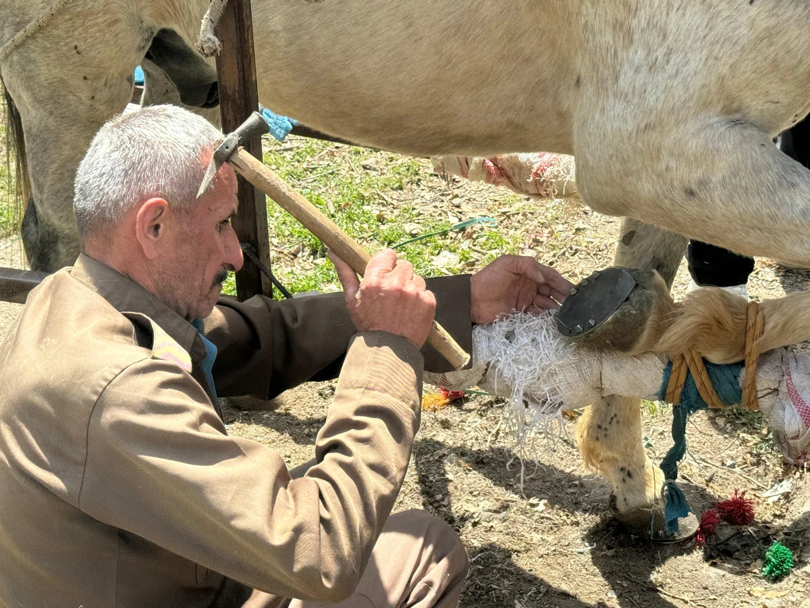 20 Yıldır At ve Katırların Ayak Bakımlarını Yapıyor