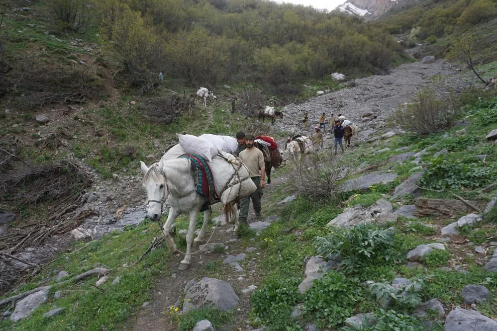 Vatandaşlar Dağlarda Yetişen Otları Toplamak İçin Akın Ediyor