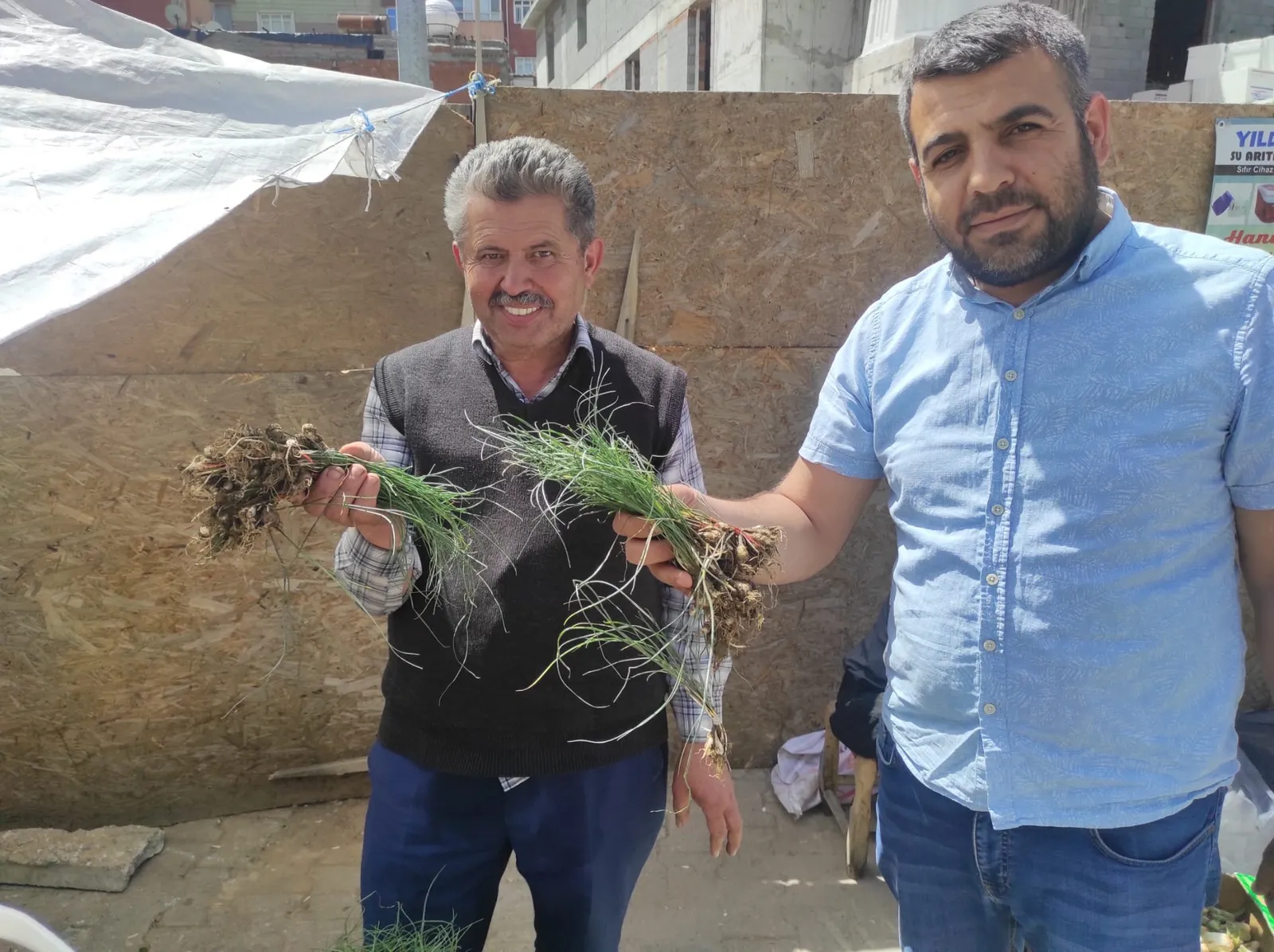 Zuzubak Otu Kilosu 5 Bin Liradan Alıcı Buluyor