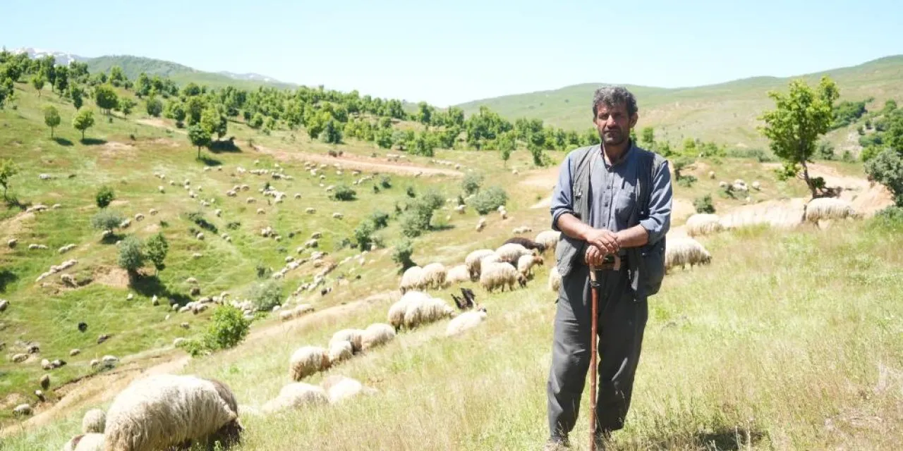 Mardinli Göçerler Muş Yaylalarını Canlandırıldı