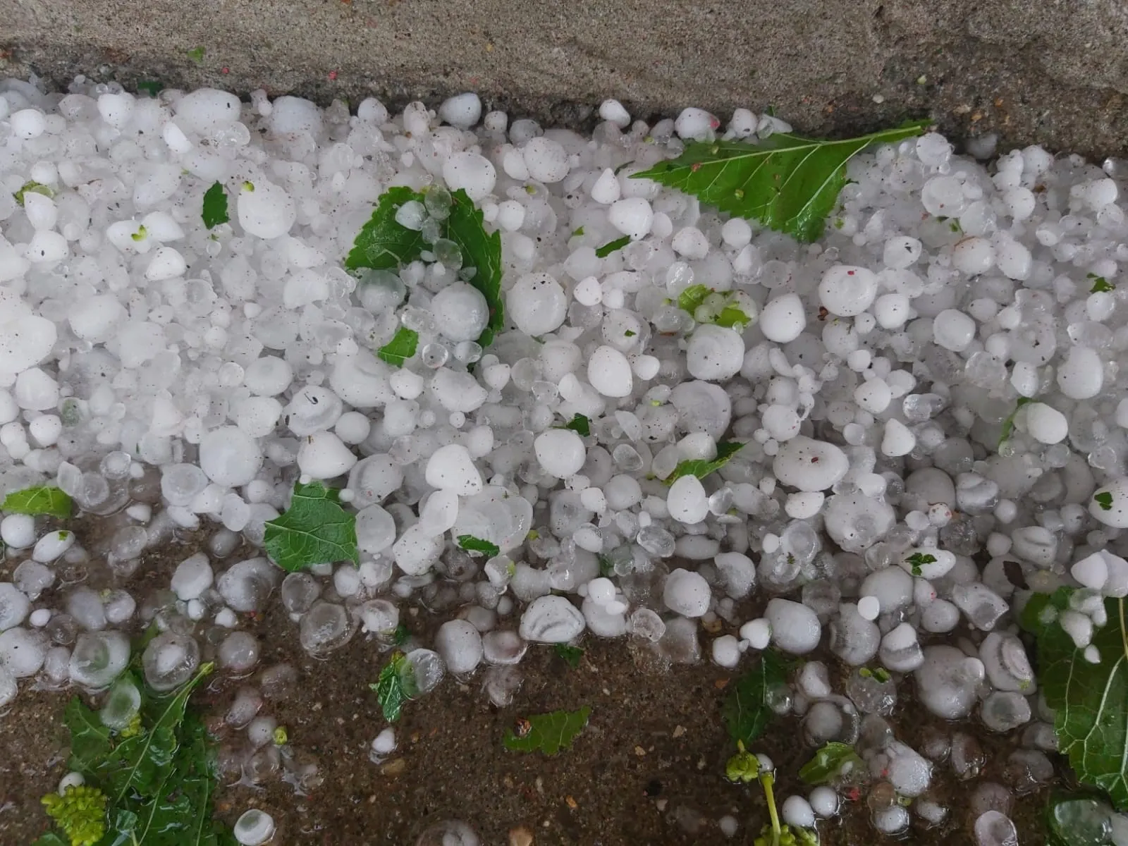 Siirt'te Ceviz Büyüklüğünde Dolu Yağdı