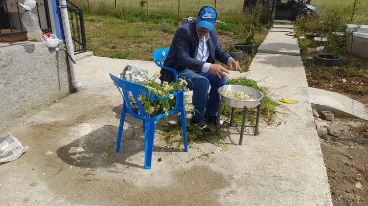 Kulp’ta Kış Çayı Hazırlığı Başladı