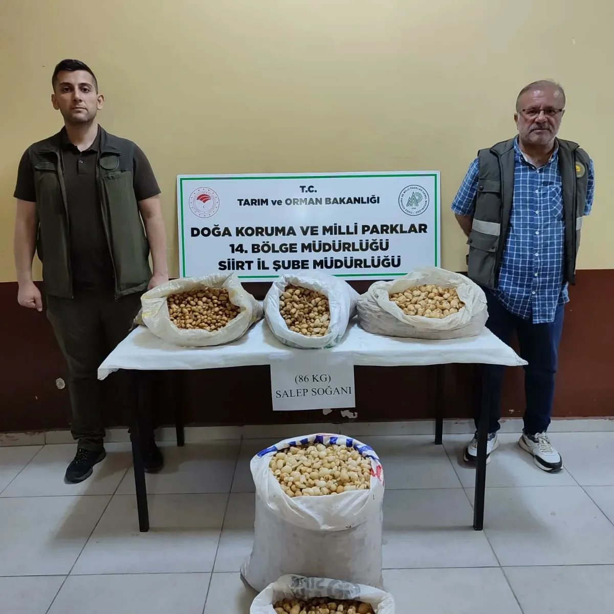 Siirt’te Kaçak Salep Soğanı Toplayan Kişiye 387 Bin TL Ceza