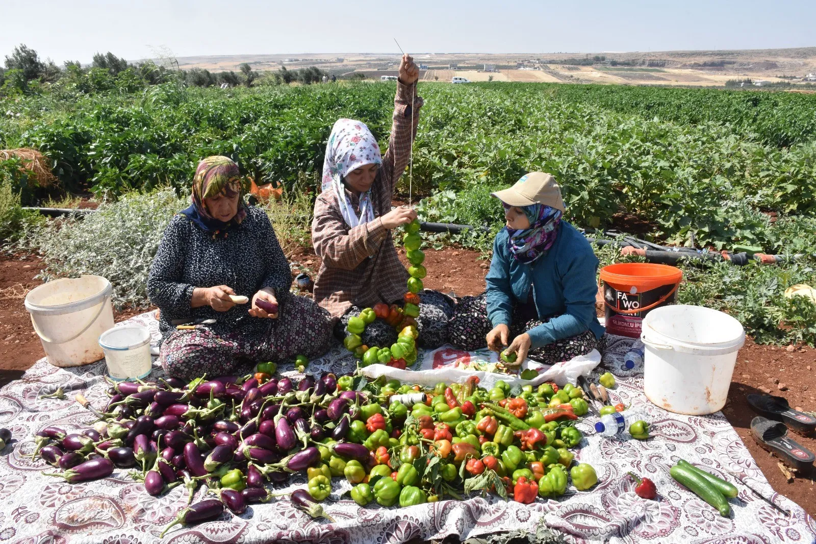 Patlıcan ve Biberler Kadınların Elinde Kurutmalık Oluyor
