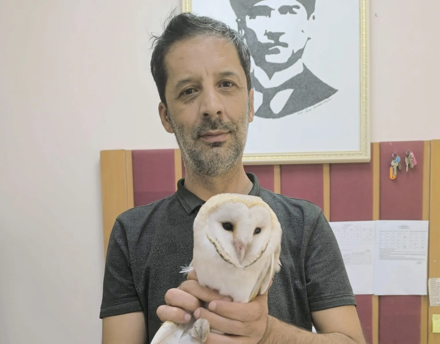 Sınıfa Giren Beyaz Baykuş Yakalanarak Doğaya Bırakıldı