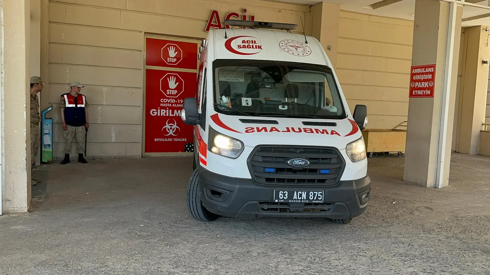 Çiftçi Domuzun Saldırısına Uğradı