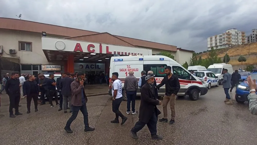 Şırnak'ta Ağacın Altına Sığınanların Üzerine Yıldırım Düştü: 2 Ölü, 9 Yaralı
