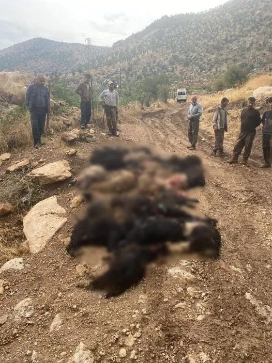 Siirt'te Yıldırım Düştü: 64 Keçi Öldü