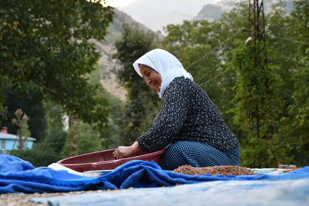 Şırnaklı Aile Sumak Satarak Geçimini Sağlıyor
