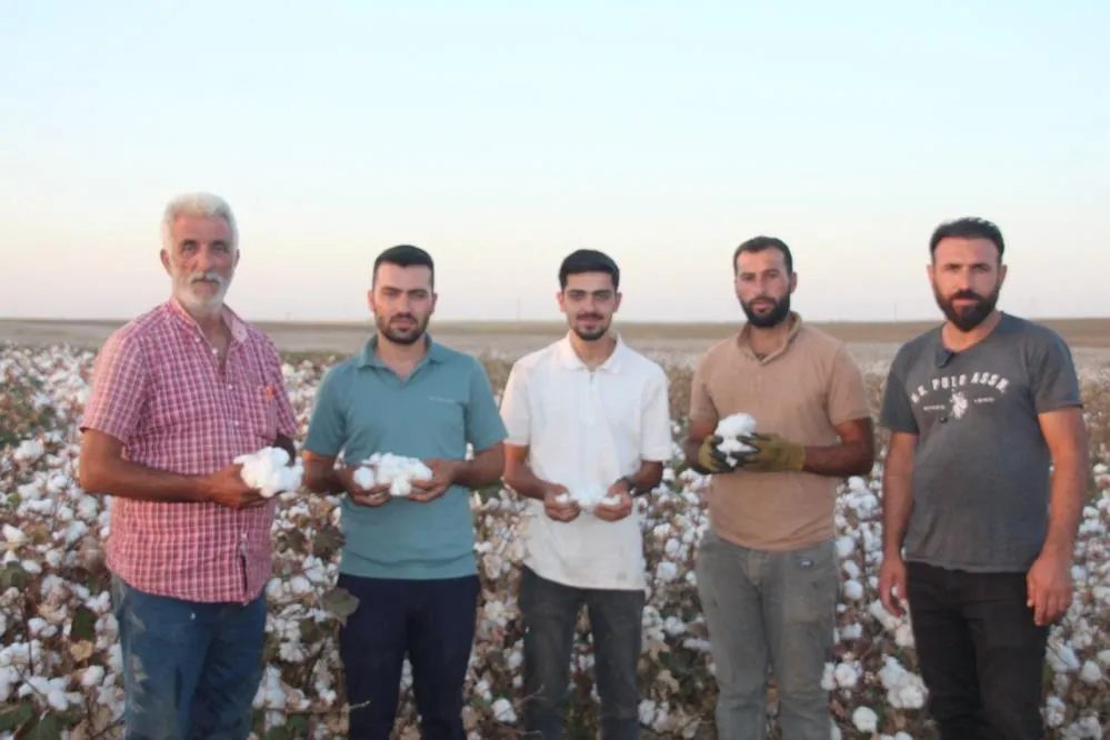 Urfa’da 'Beyaz Altın' Hasadı Başladı