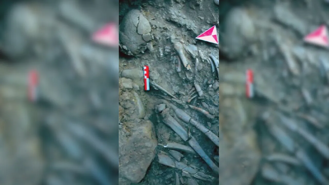 MAÜ’nün Arkeolojik Kazıları Bölge Tarihine Işık Tutuyor