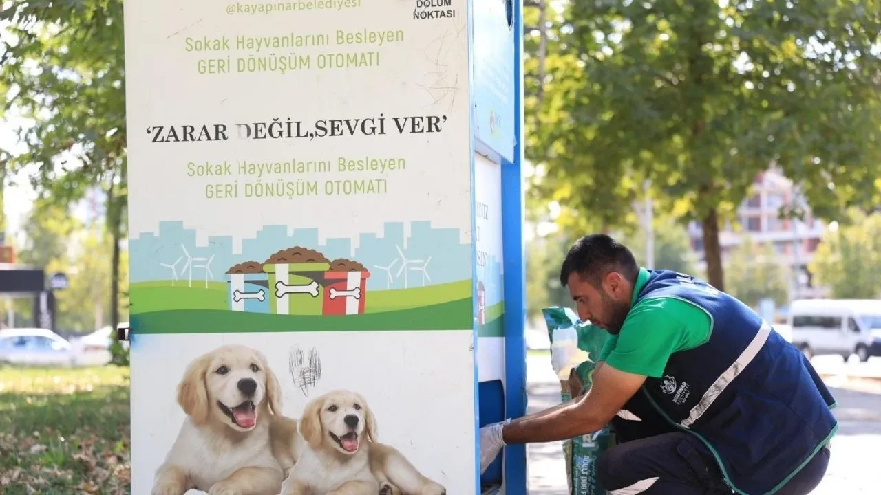 Sokak Hayvanları Sahipsiz Bırakılmıyor