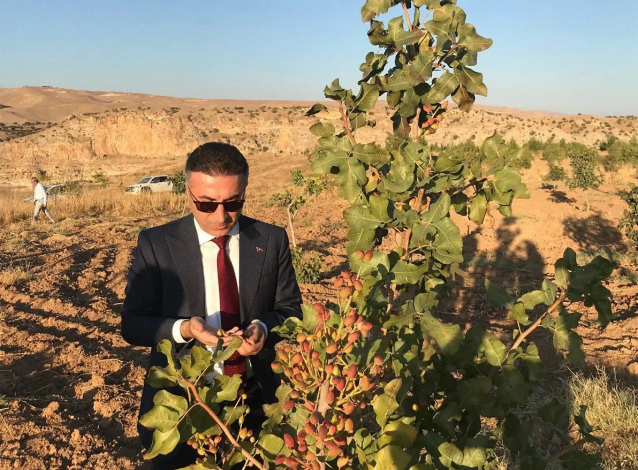 Üniversitenin Geliri, Öğrencilere Burs Olacak